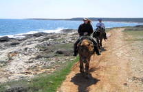 Ausritt Nebensaison Küste