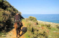 Mediterrane Natur, Reiten Istrien