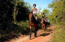 Reithelm, Reiten Istrien