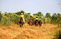 Reitgruppe, Galopp über Felder