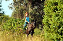 Reitausflug, Hinterland Istrien