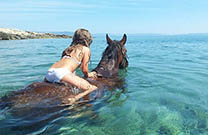 Pferd im Meer, Istrien