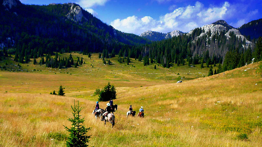 Reiten Kvarner Bucht - Velebit