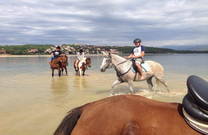 Reitergruppe, Meer, Insel Krk