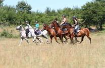 Reitausflug Insel Krk