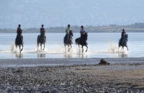 Reiter, Meer - Insel Krk
