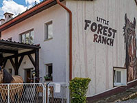 Little Forest Ranch
