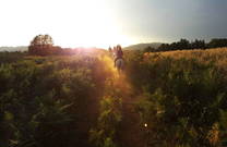 Ausritt, Sonnenuntergang