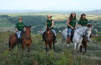 Team, Ranch Equus igni