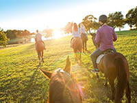 Reiten Istrien, Kroatien