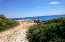 Reitausflug Küste & Meer, Istrien