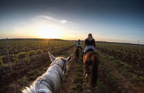 Ritt in den Sonnenuntergang
