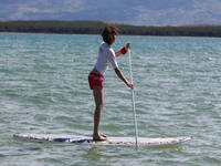 Surfcenter Surfmania Nin - SUP