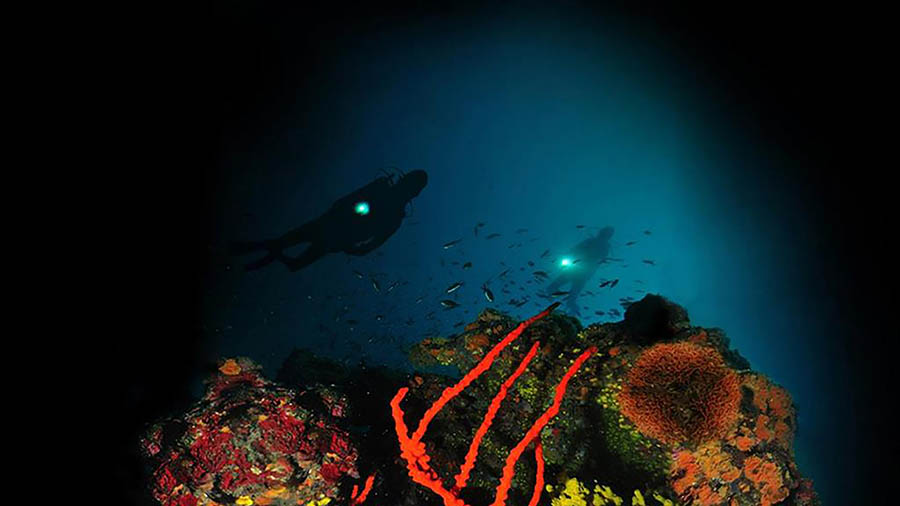 Diving Center Indie - Banjole, Istrien, Kroatien