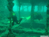 Diving Center Indie - Tauchgang Schiffswrack