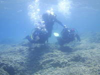 Banjole Diving Center Indie - Kindertauchen - Tauchausbildung