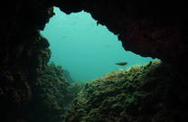 Unterwasserhöhle, Tauchen Istrien