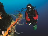 Tauchen Kvarner Bucht