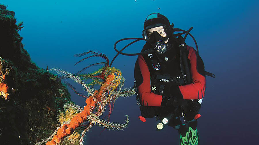Tauchen in der Kvarner Bucht, Taucher Goli otok