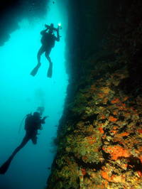 Najada Diving - Tauchgänge Höhlen & Überhänge