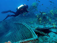 Najada Diving - Wracktauchen