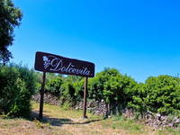 Wanderweg Dolce Vita - Insel Brac, Dalmatien, Kroatien