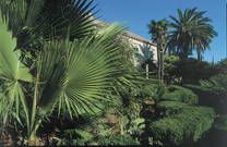 Dubrovnik - GoT Tour - Trsteno