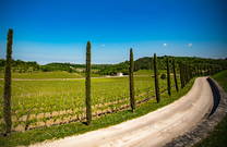 Wandern - Weinstraße Istrien