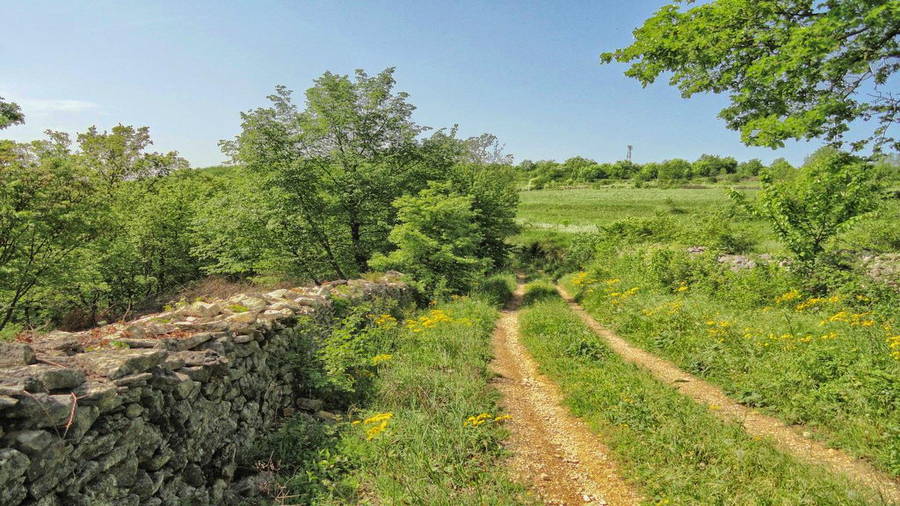 Wanderweg Staza Suhozida - Tinjan, Kringa