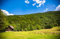 Wiese - Nationalpark Risnjak
