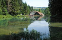 See Corgljevo, Moravice