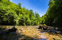 Natur - Nationalpark Risnjak
