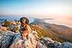 Ausblick Osorcica, Insel Losinj