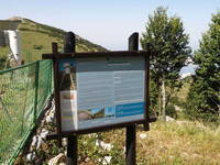 Cipiko-Palast Trogir