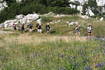 Nationalpark Nord-Velebit - Wanderweg Premuzic