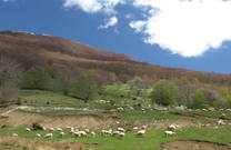 Naturpark Ucka - Landschaft