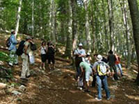 Wanderroute Poklon - Vojak - Plas - Poklon