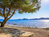 Strand Kumenat
