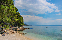 Kiefernwald, Punta rata