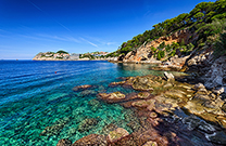 Strand Danče, Natur pur