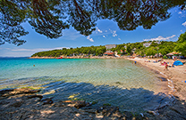 Bucht Slanica wird gesäumt von Pinienbäumen