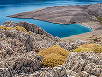 Strand Rucica, Metajna
