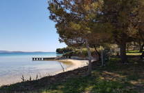 Kiefernwald und Liegewiese - Strand Sovinje