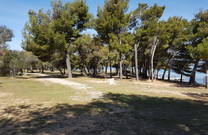 Kiefernwald - Strand Sovinje