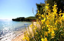 Strand Sovinje - Natur
