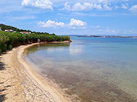 Strand Poljane, Tkon