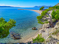 Strand Cvitačka