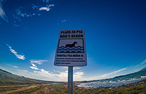 Hundestrand Privlaka