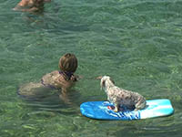 Hundestrand Kasuni - Split