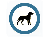 offizieller hundestrand